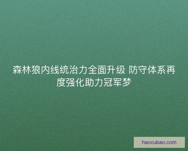 森林狼内线统治力全面升级 防守体系再度强化助力冠军梦